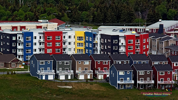 St. John's 100