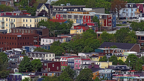 St. John's 103
