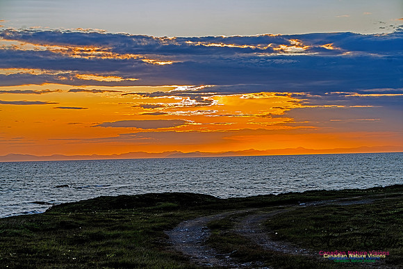 Baccalieu Coastal Drive 116 copy