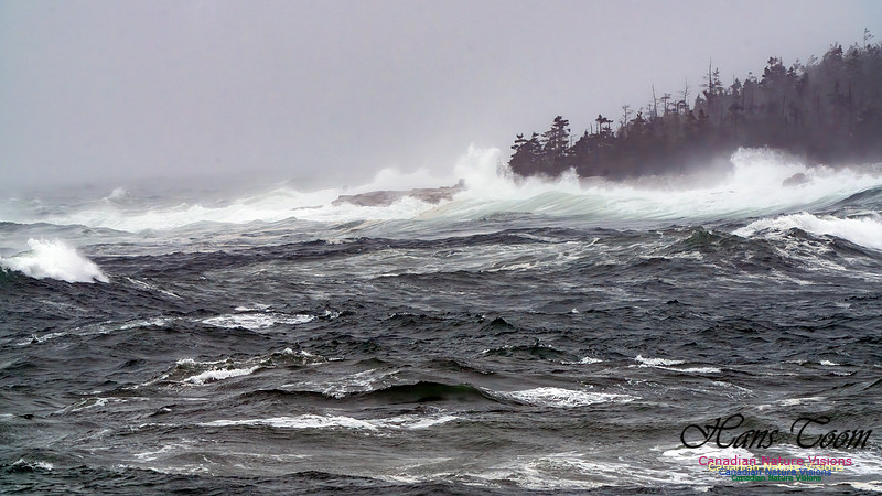 Ocean Surf 103