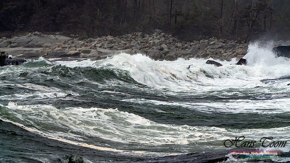 Ocean Surf 105
