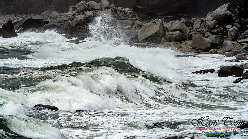 Ocean Surf 107