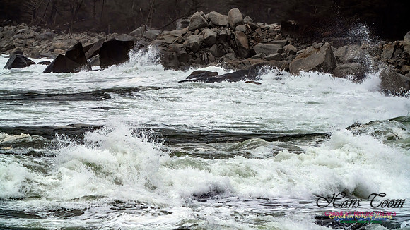 Ocean Surf 106