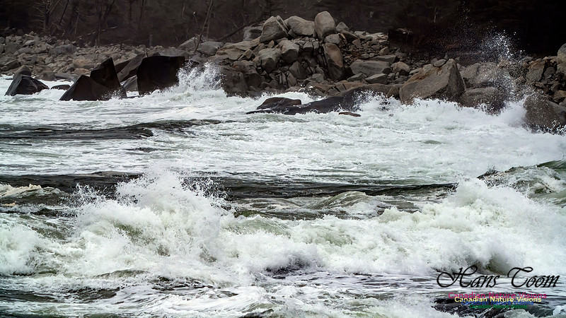 Ocean Surf 106