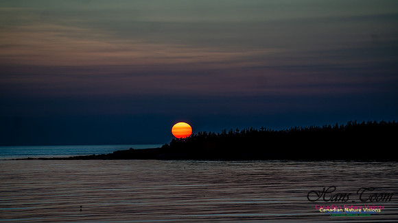 Brier Island Sunset 100