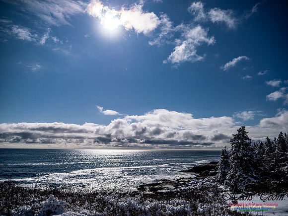 April Snow in Nova Scotia 225