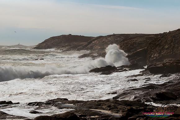 Eastern Head Gale
