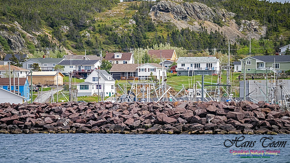 Twillingate 121