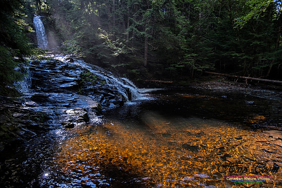 Butchers Falls