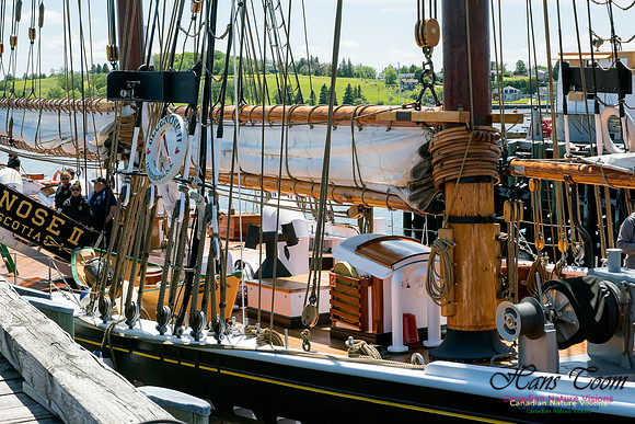 Bluenose II