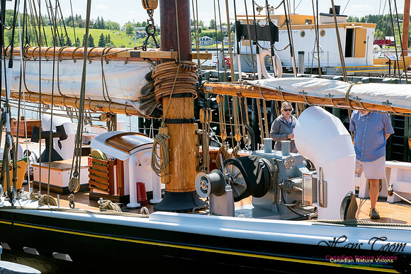 Bluenose II