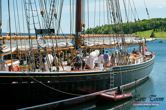 Bluenose II
