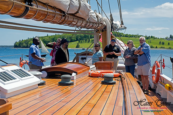 Bluenose II