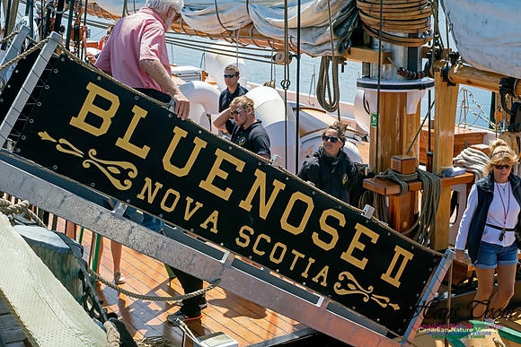 Bluenose II