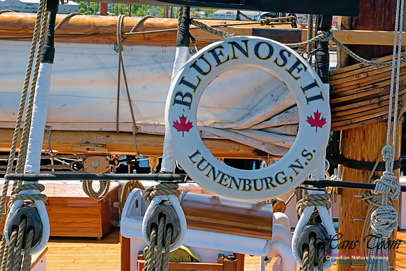 Bluenose II