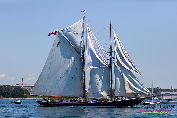 Bluenose II 3