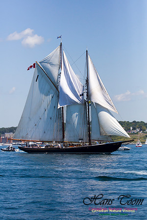 Bluenose II 5