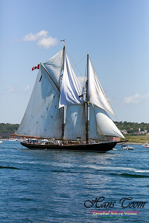 Bluenose II 6
