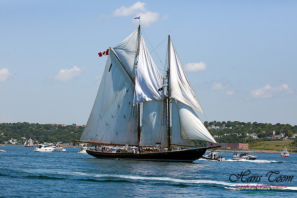 Bluenose II 7