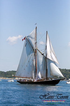 Bluenose II 8