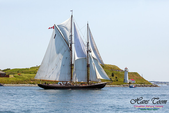 Bluenose II 11