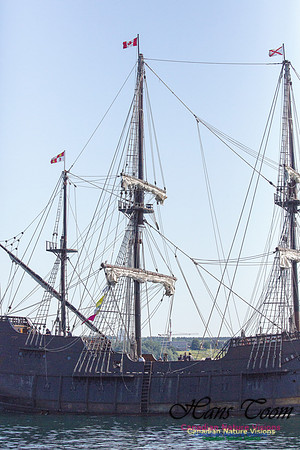 El Galeon 2