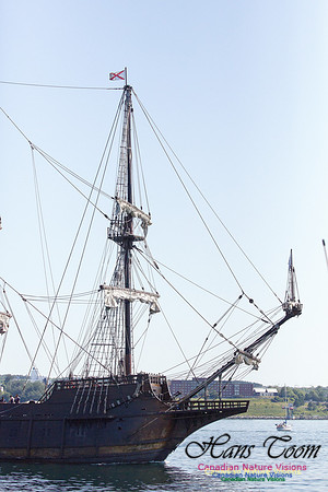 El Galeon 4