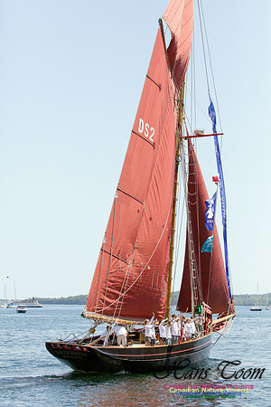 Jolie Brise 5