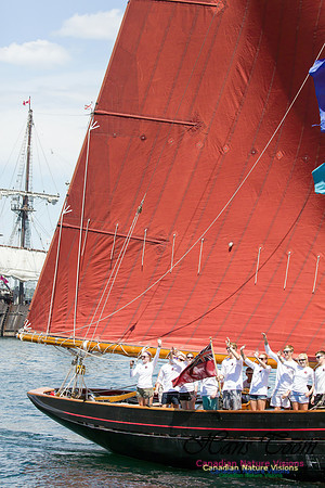 Jolie Brise 10