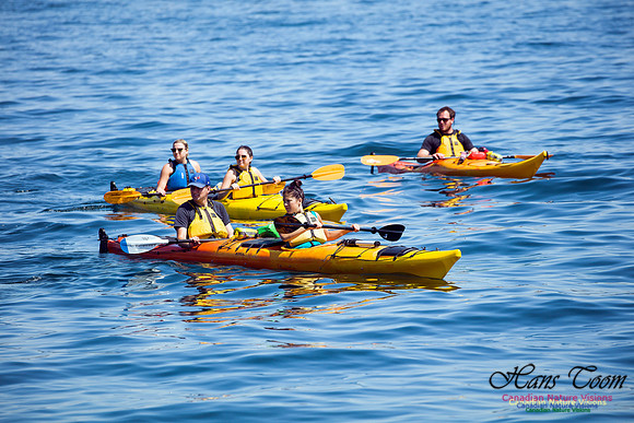 Kayakers 1