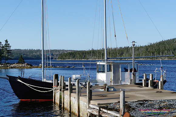 Motor Sailer 1