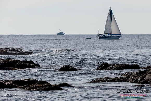 Motoring and Sailing off Duncan Reef 1