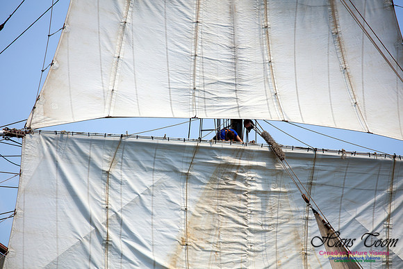 Oosterschelde 1