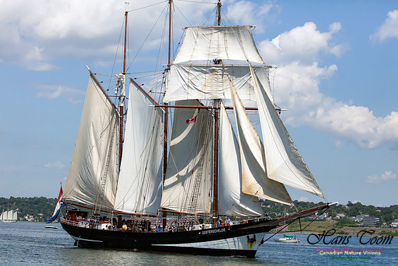 Oosterschelde 5