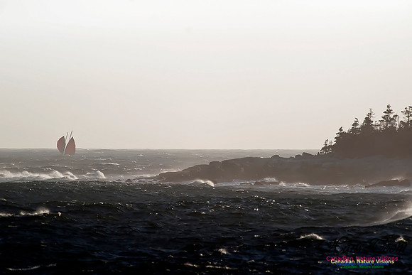 Rounding Reef Head