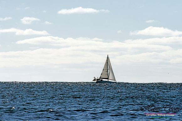 Sloop