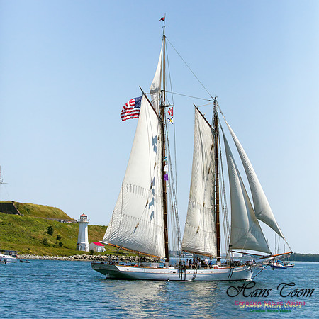 Spirit of Southern Carolina 1