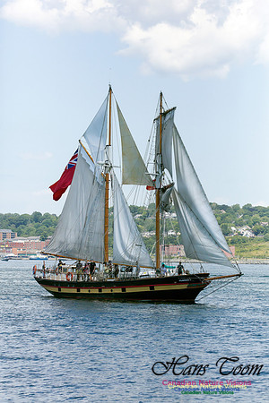St. Lawrence II 4