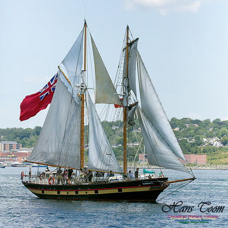 St. Lawrence II 5