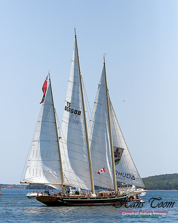 Spirit of Bermuda 100