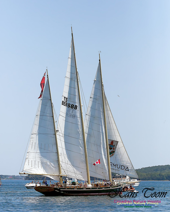 Spirit of Bermuda 100