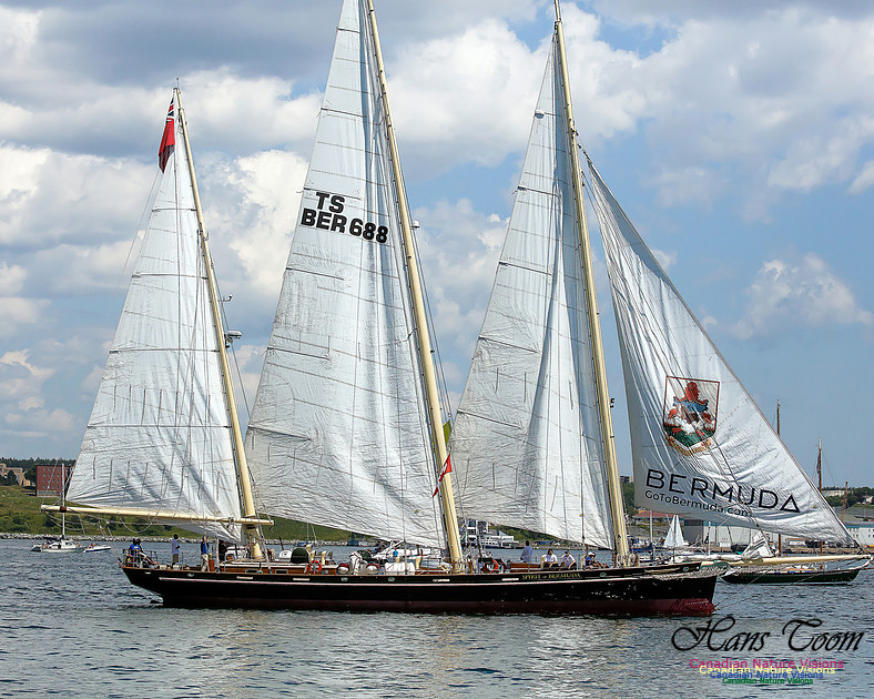 Spirit of Bermuda 101