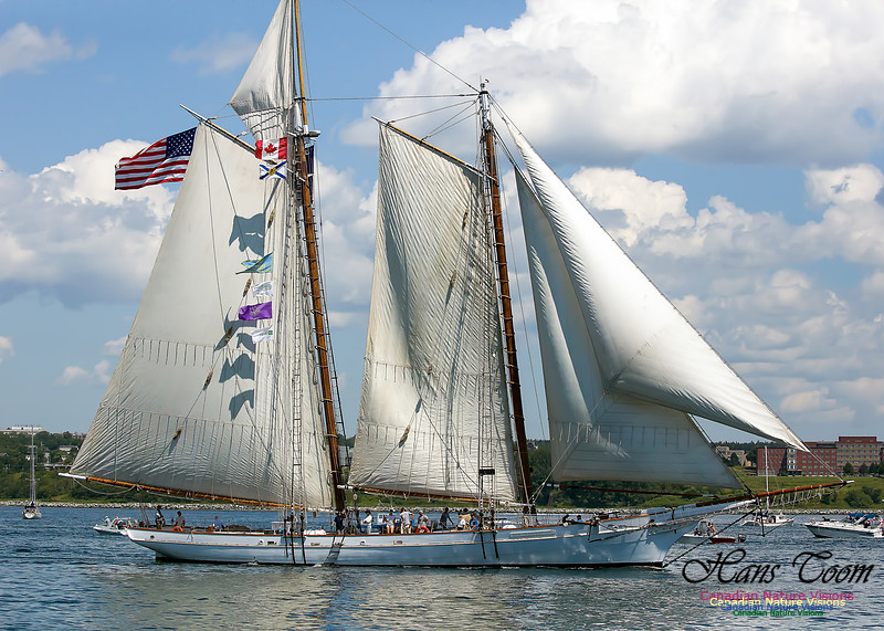 Spirit of Southern Carolina 100