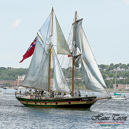 St. Lawrence II 100