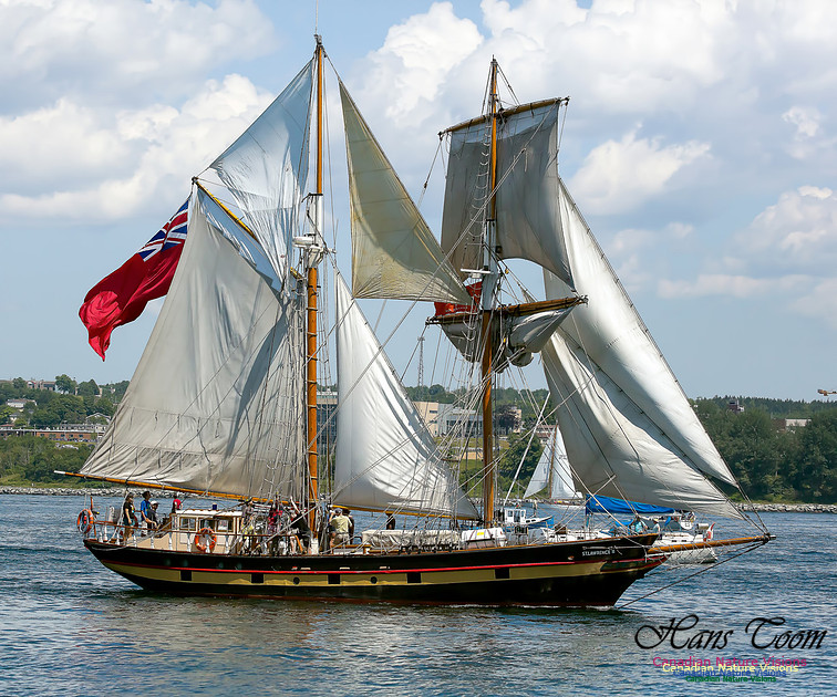 St. Lawrence II 101