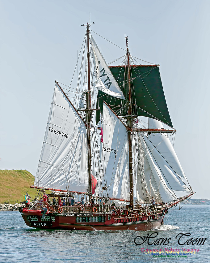 ATYLA 102