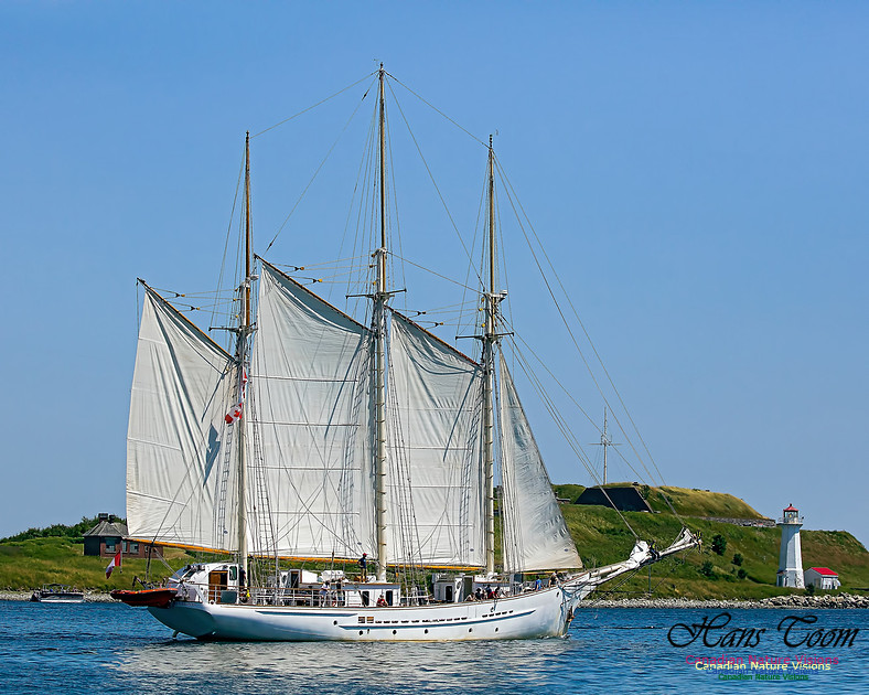 Blue Clipper 100