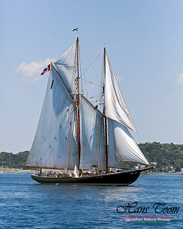 Bluenose 11 101