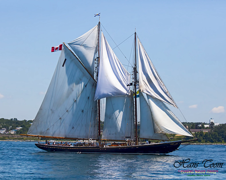 Bluenose 11 102