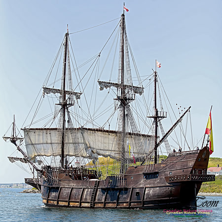 El Galeon 100